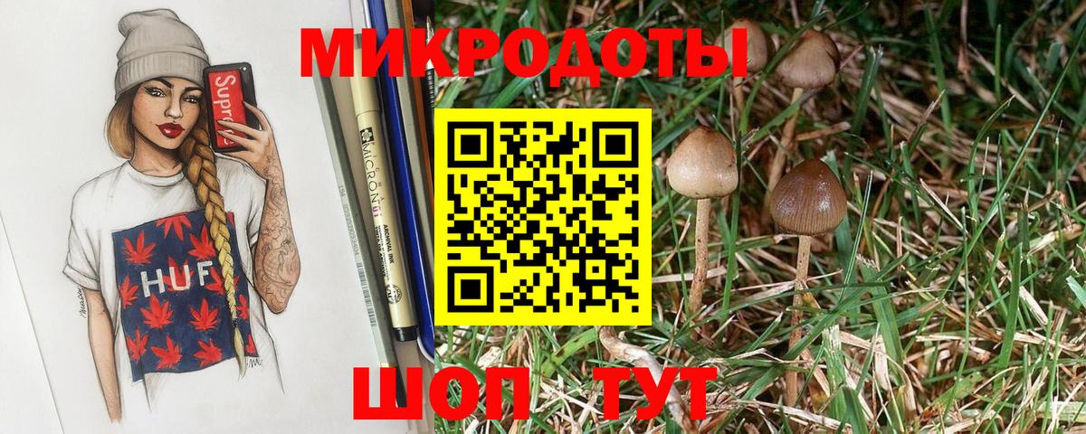 Псилоцибиновые грибы прущие грибы  Вход с VPN  Бердск  Галлюциногенные грибы GOLDEN TEACHER 